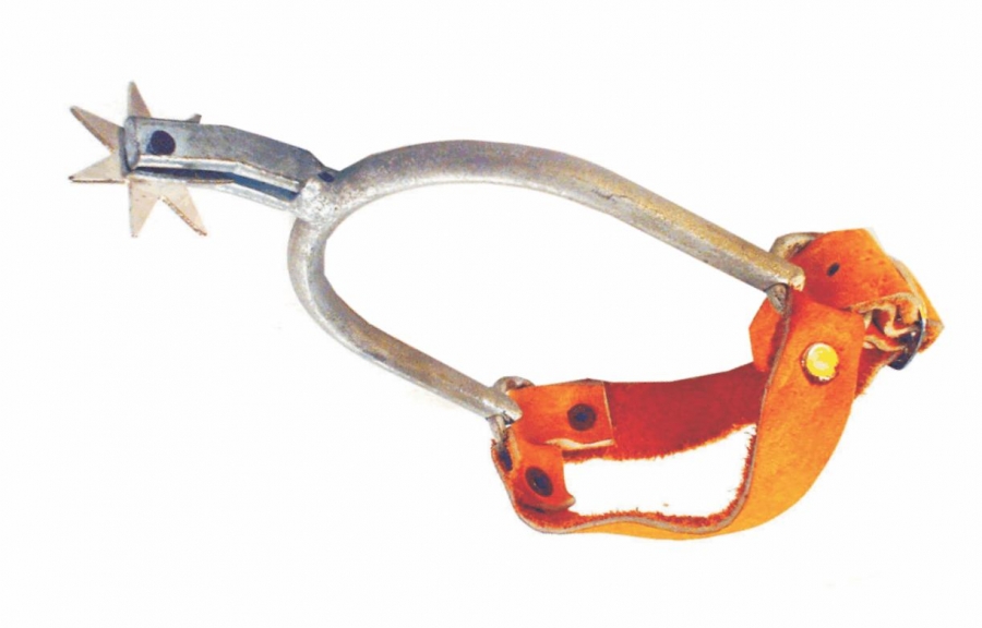 ESPORA BURITI FERRO C/CORREIA C/06