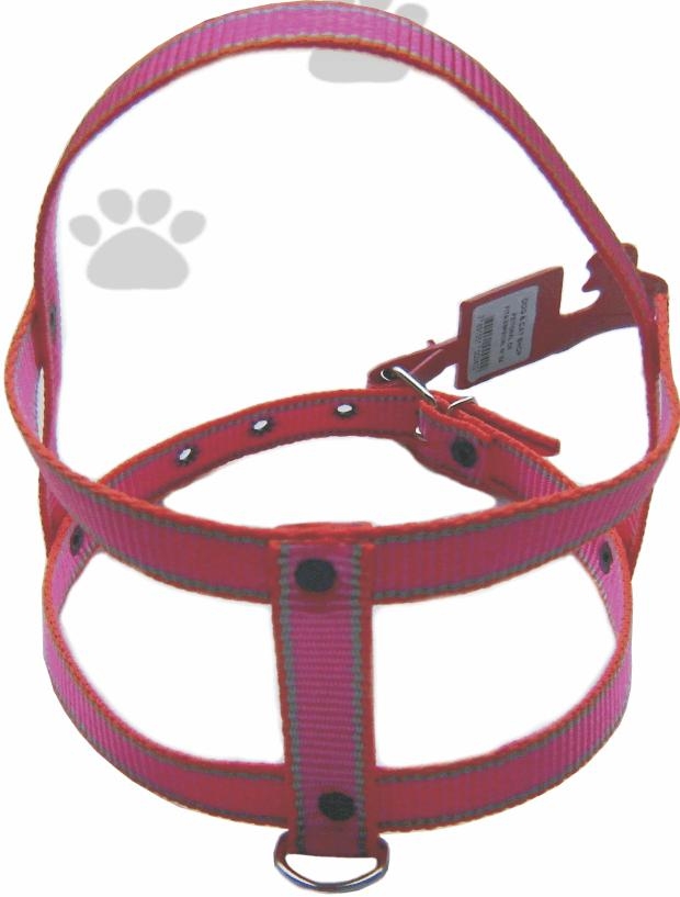 PEITORAL Nº 4 C/GUIA FITA ESPECIAL C/06