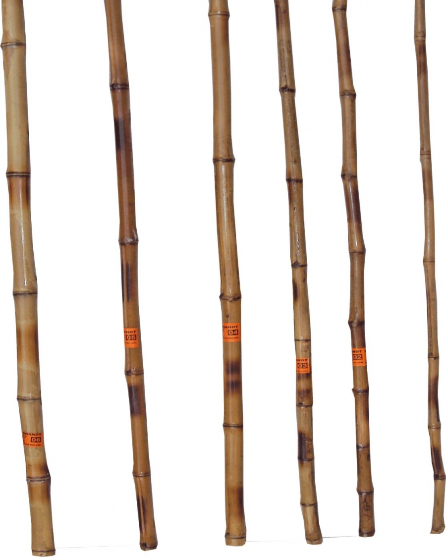 VARA DE PESCA PONTA FINA 5 - 3,00 A 3,50