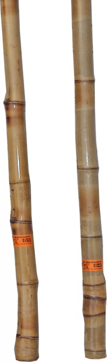 VARA DE PESCA PONTA GROSSA 5 TRAIRA