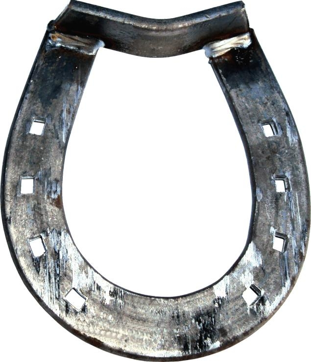 FERRADURA BURRO SOLDADA 2