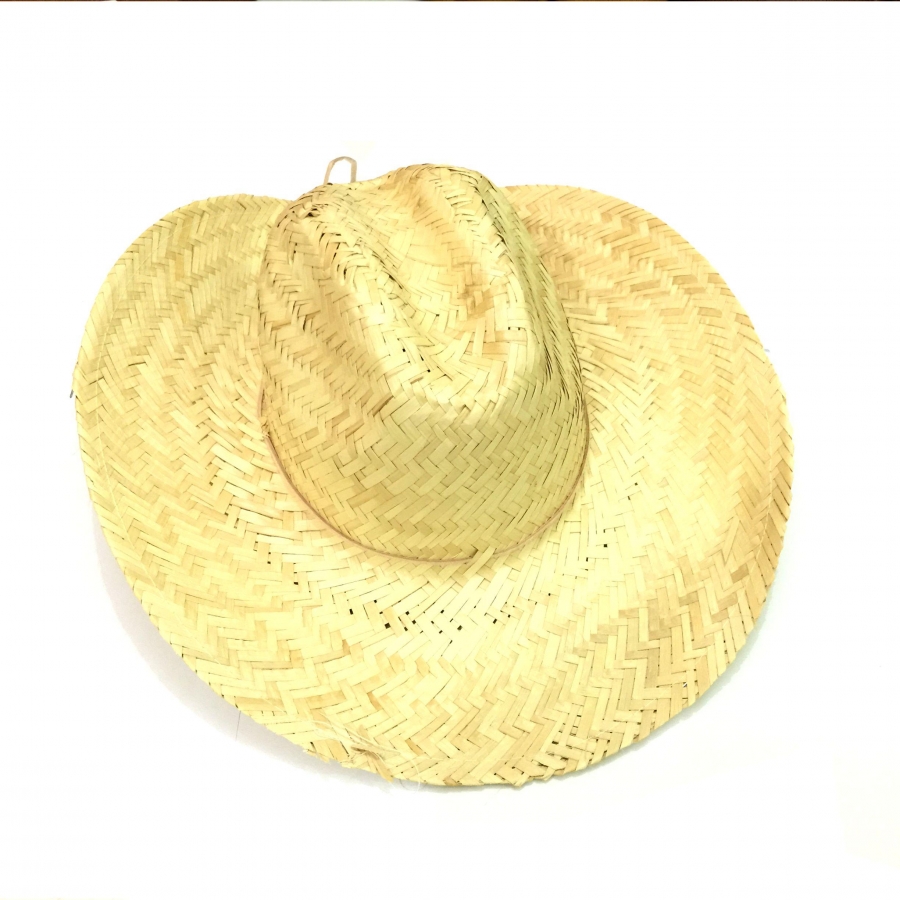 CHAPEU CARNAUBA ZE TROVAO 10CM