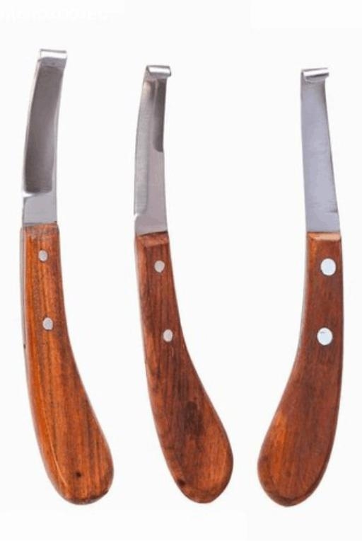 RINETA P/ CASCO C/ LAMINA GRANDE DIREITA