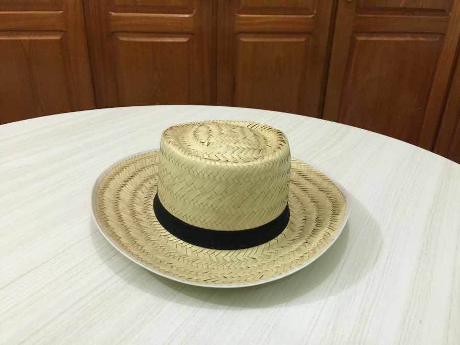 CHAPEU CARNAUBA PANAMA