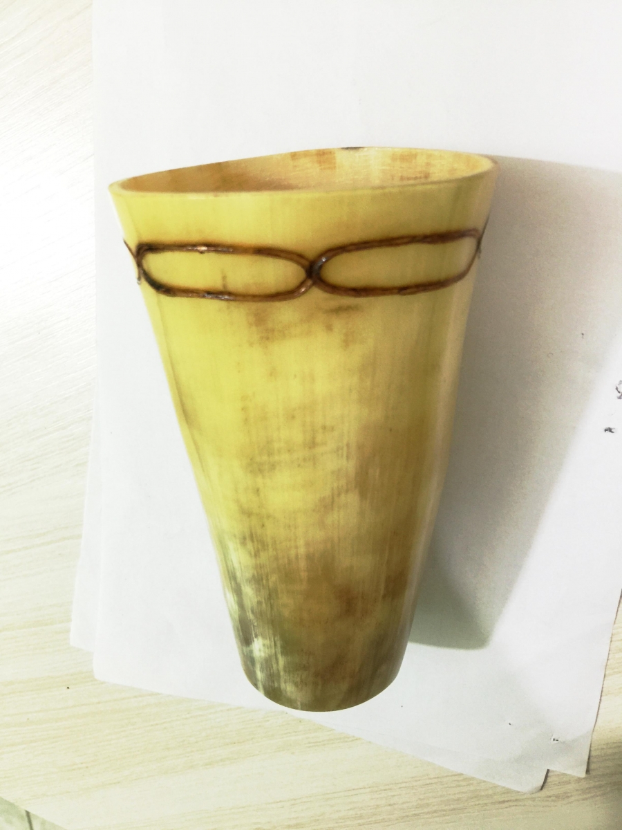 CUIA PARA TERERE PRIMEIRA MEDIA